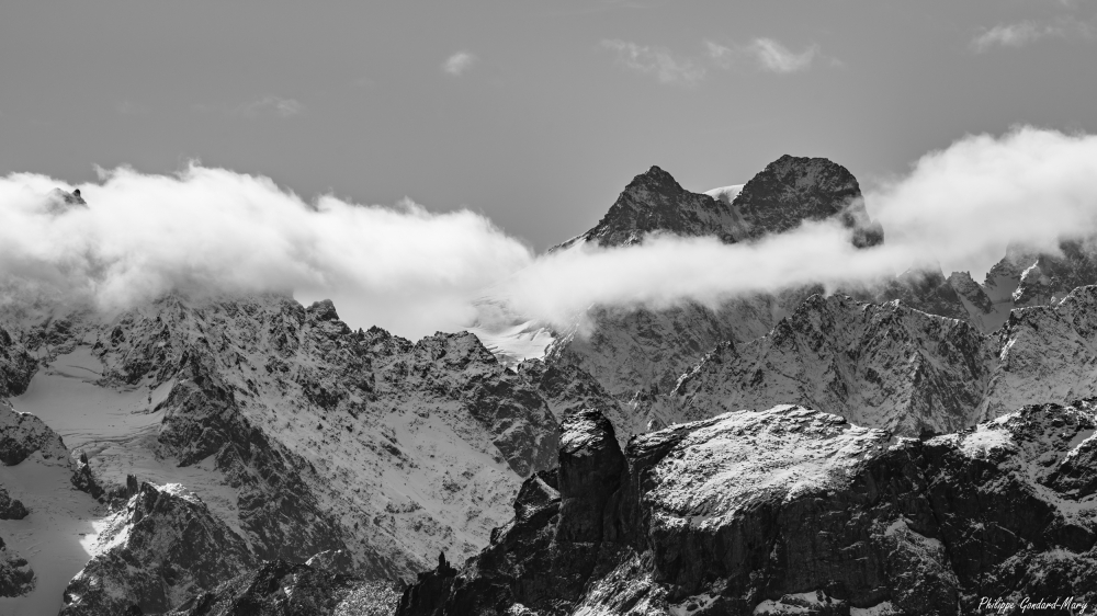 DSC02675-2.jpg