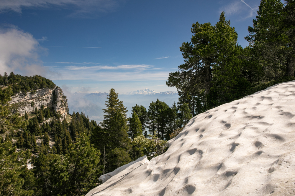 L'Alpe 2.jpg