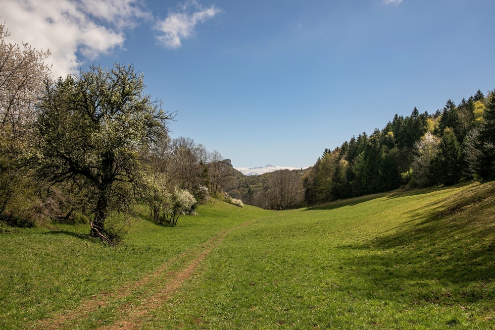 Roche du Guet 2.jpg