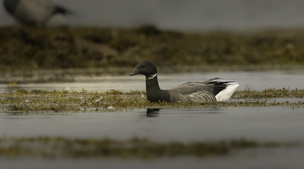 Sth-A7RVI-74.jpg