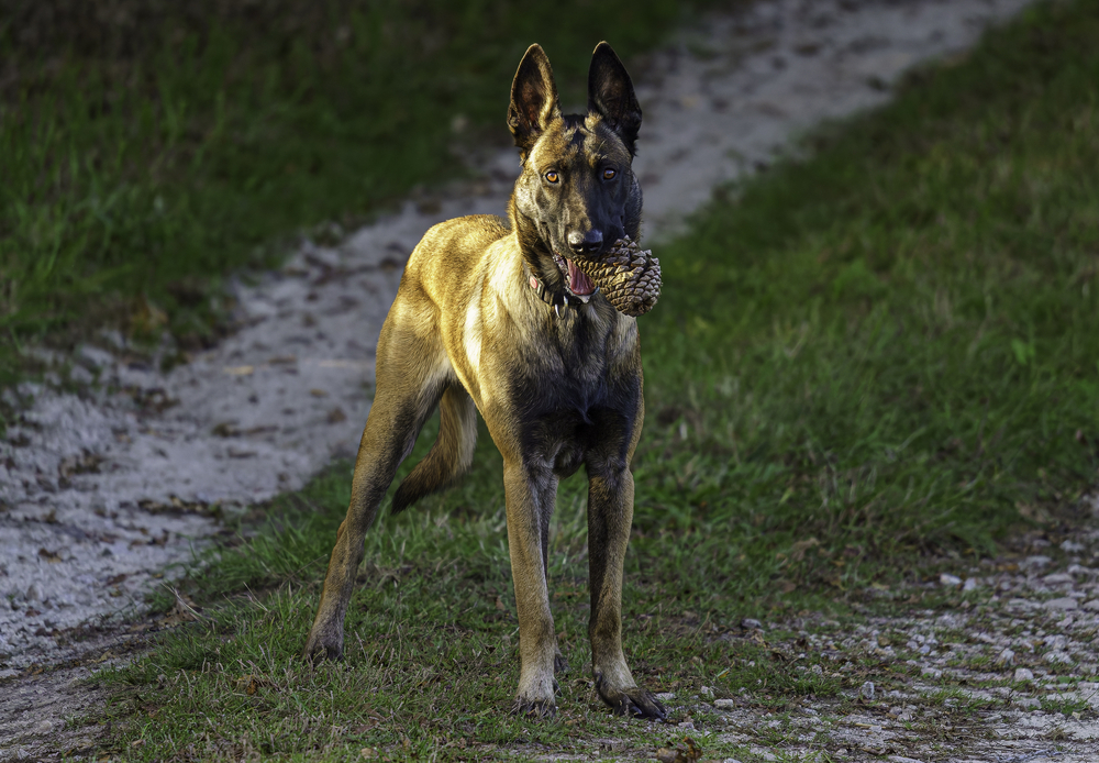 Sth-A7RVI-77.jpg