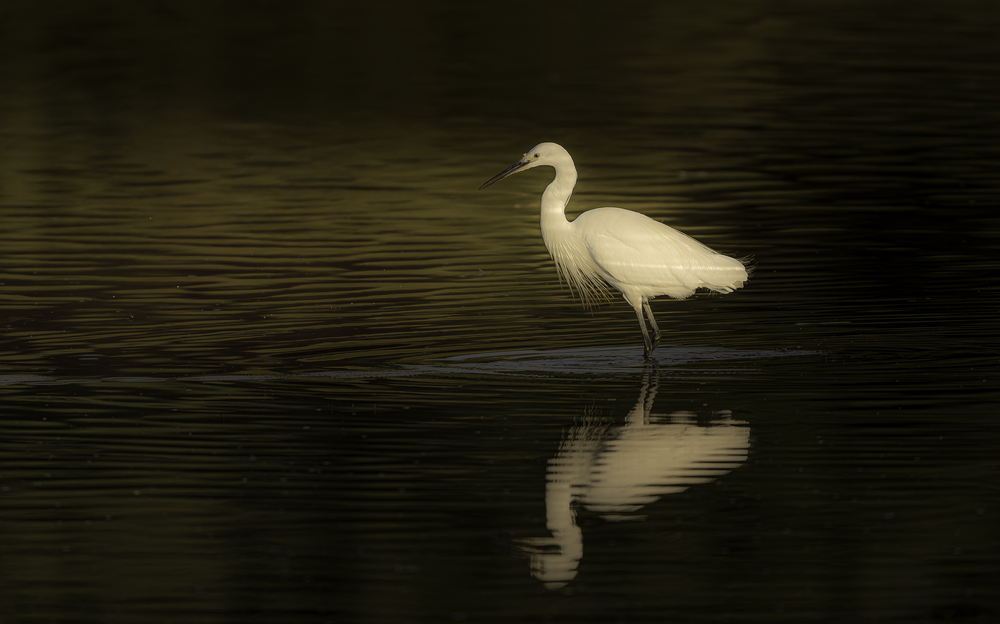 Sth-A7RVI-78.jpg
