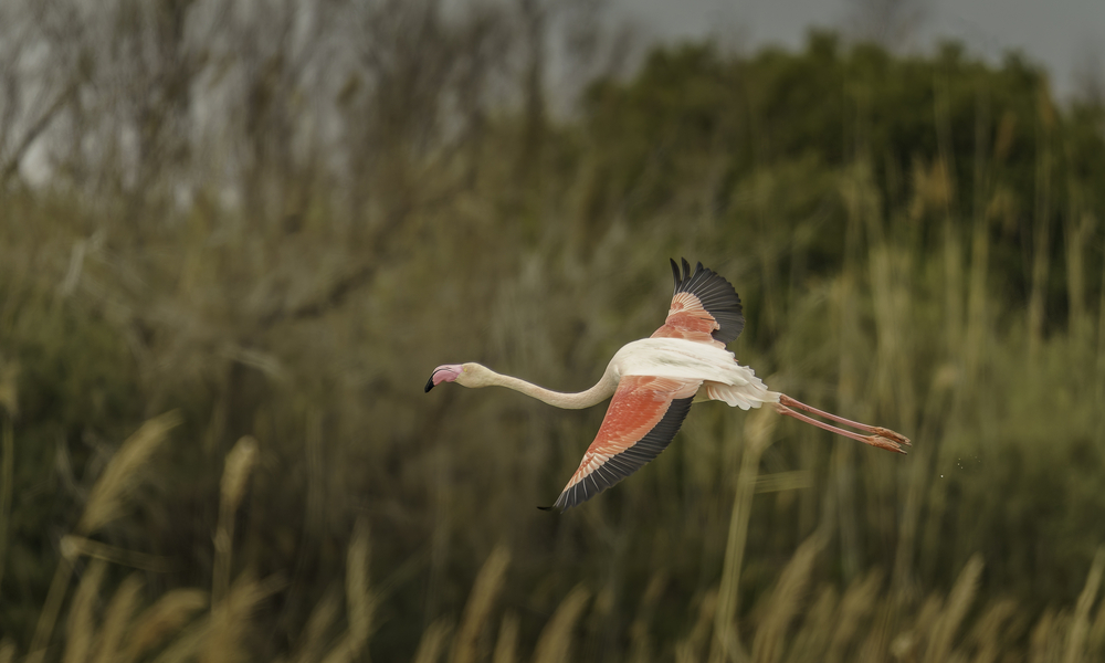Sth-A7RVI-85.jpg